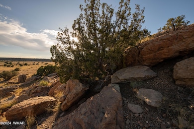 137 Acr 8461, Concho, AZ 85924 - photo 3