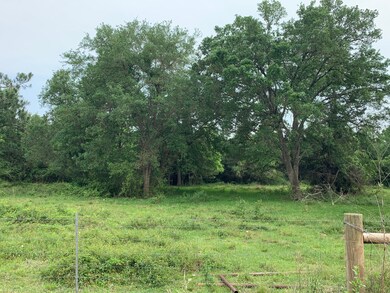 Lot 26 County Road 160, Alvin, TX 77511 - photo 2