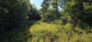 Lot 561 Bluff View Dr, Dunlap, TN 37327 - photo 4