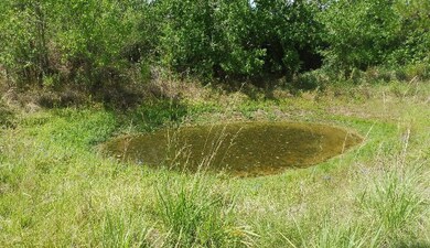 TBD Pinewood Valley, Hockley, TX 77447 - photo 5