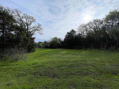 Lot 43A Palmilla Dr, Gordonville, TX 76245 - photo 3