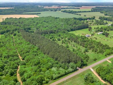 3418 New Hope Trail, Dawson, GA 39842 - photo 3