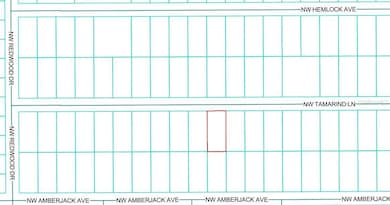 TBD NW Tamarind Ln, Dunnellon, FL 34431 - photo 3