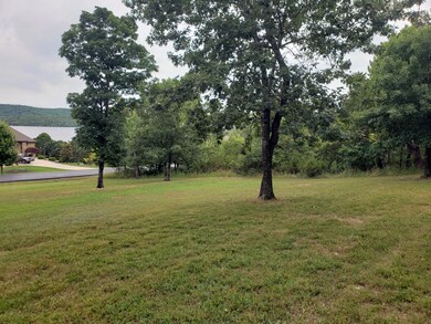 111 Summer Rd, Ruth B Rural Township, MO 65686 - photo 2