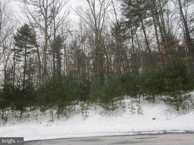 0 Red Tail Ct, Basye, VA 22810 - photo 2