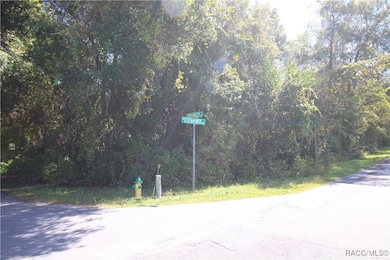 1012 & 1030 E Mckinley St, Hernando, FL 34442 - photo 2