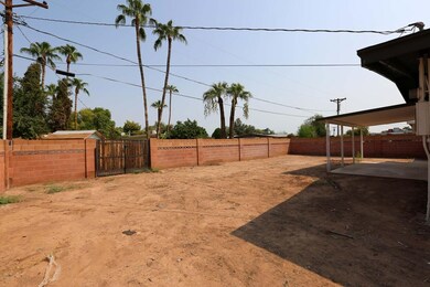 Loma Vista backyard