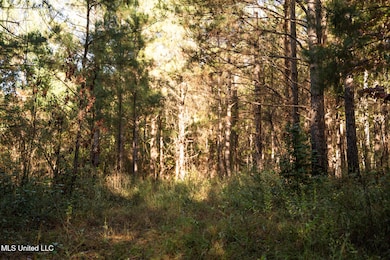 0 Lake View Golf Course Rd unit 4132339, Meridian, MS 39301 - photo 6