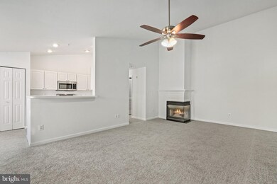 7528L Coxton Ct unit 107, Alexandria, VA 22306 - photo 4