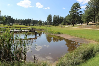 12265 Weaver Dr, Custer, SD 57730 - photo 2