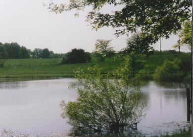 Front View overlooking pond
