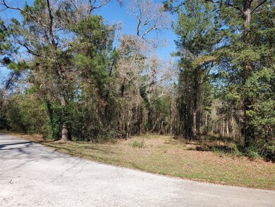 22502 Rosehurst Dr, Tomball, TX 77377 - photo 5