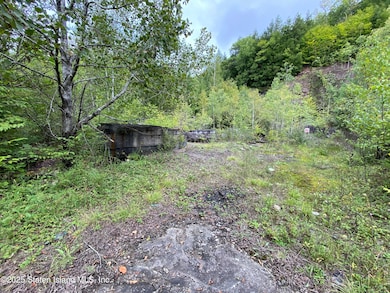 2392 Sands Creek Rd, Hancock, NY 13783 - photo 2