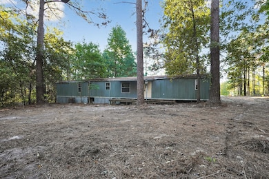 1 Ellis Ct, Coldspring, TX 77331 - photo 5