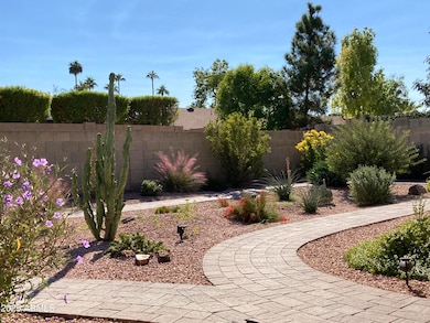 1019 E Watson Dr, Tempe, AZ 85283 - photo 5