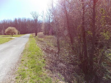 0 Spring Cir, Linden, TN 37096 - photo 5