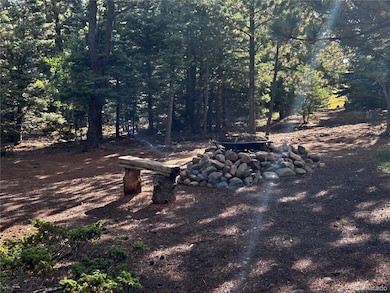 53 Pine Eagle Ct, Westcliffe, CO 81252 - photo 3