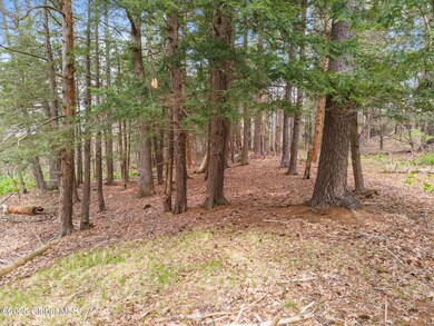 612 Riverview Rd, Rexford, NY 12148 - photo 6