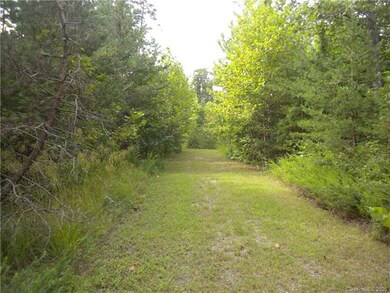 3 Dobsons Knob Loop Rd unit 3-12, and 53-57, North Cove, NC 28752 - photo 6