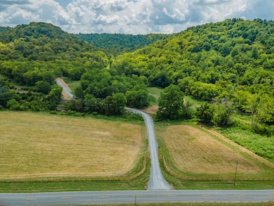 2970 Springplace Rd, Belfast, TN 37019 - photo 6