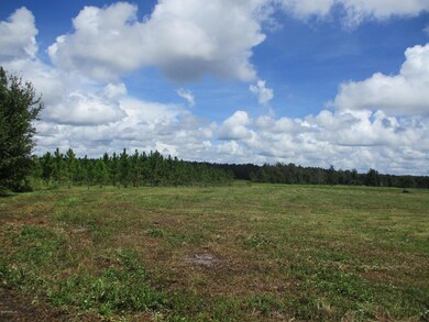 56161 Davis Rd, Callahan, FL 32011 - photo 7