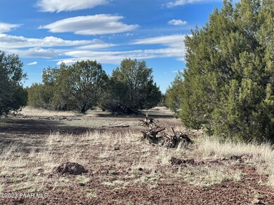 2460 Denny Dr, Ash Fork, AZ 86320 - photo 2