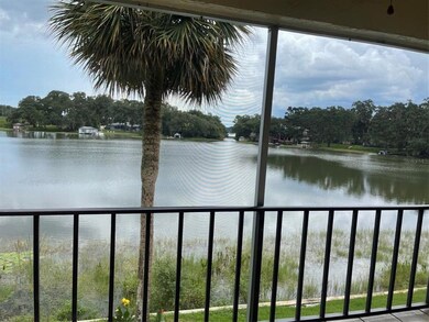 LAKE VIEW FROM LIVING ROOM