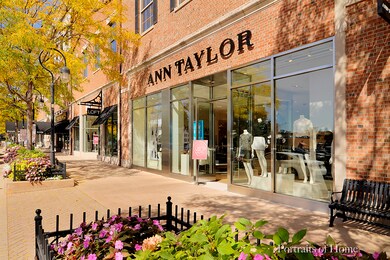 839 N Brainard St, Naperville, IL 60563 - photo 6