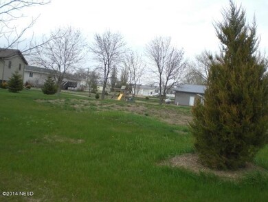 TREE ON LOT