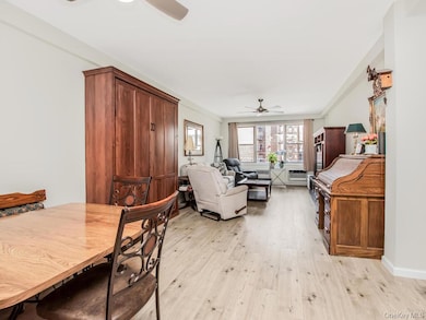 10 Lake St unit 2F, White Plains, NY 10603 - photo 7