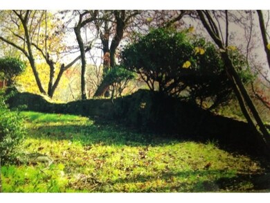 Tbd Shamrock Way, Kimberling City, MO 65686 - photo 5