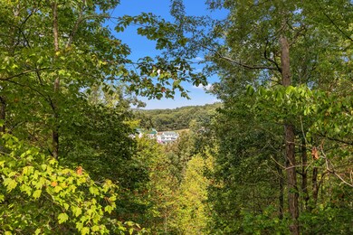 4445-2 Pine Grove Rd, Means, KY 40346 - photo 4