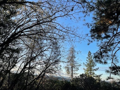 160 Acres Donkey Mine and Madison, Oak Run, CA 96069 - photo 6