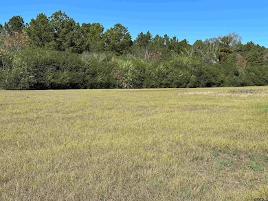 14B  / TBD Old Spanish Trial Dr, Alto, TX 75925 - photo 3