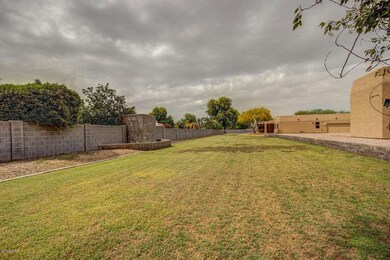 Future Pasture
