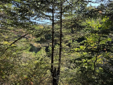 0 Main Rd, Phippsburg, ME 04562 - photo 7