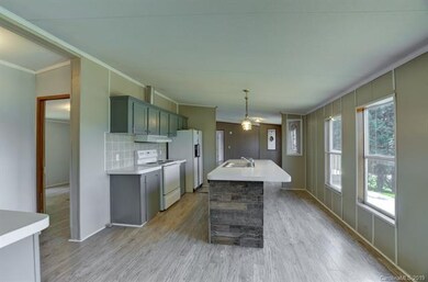 947 Jackson Loop Rd, Flat Rock, NC 28731 - photo 6