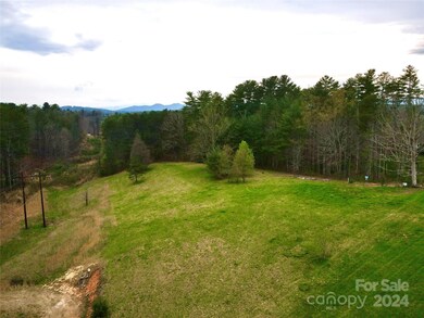 56 Tommy Ray Ridge unit 7, Weaverville, NC 28787 - photo 3