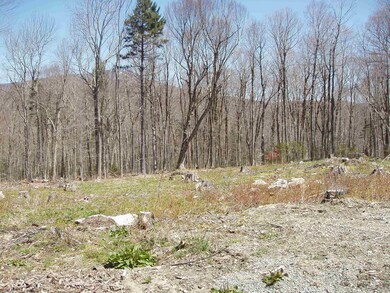 0 Moose Hollow Rd unit 47 4873294, Winhall, VT 05340 - photo 2