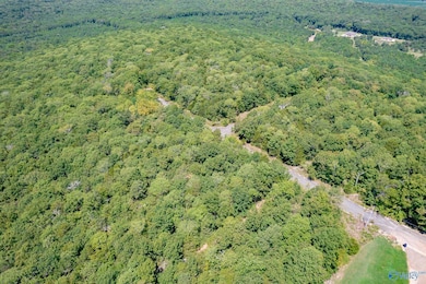14 Acres Apache Rd NW, Huntsville, AL 35810 - photo 4