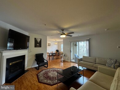 9131 Gracious End Ct unit 204, Columbia, MD 21046 - photo 3