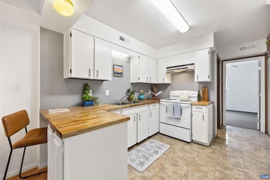 2100 Jefferson Park Ave, Charlottesville, VA 22903 - photo 5