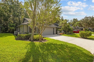 887 Lucas Ln, Oldsmar, FL 34677 - photo 2