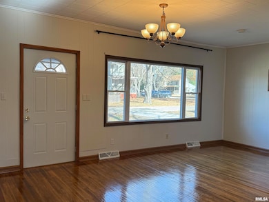 110 E Bishop St, Yates City, IL 61572 - photo 4