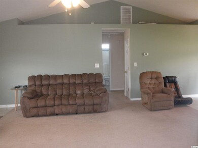 317 Sean River Rd, Conway, SC 29526 - photo 3