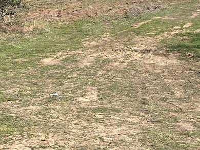 1203 Sandy Ln, Weatherford, TX 76088 - photo 4