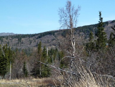 View of bear valley