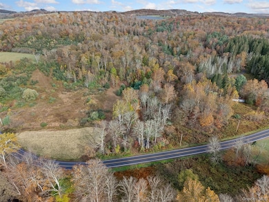 22 New York 52a, Kenoza Lake, NY 12750 - photo 5