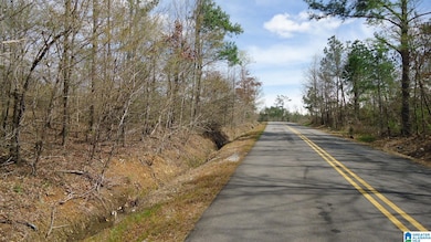 551 Grayton Rd S, Ohatchee, AL 36206 - photo 3
