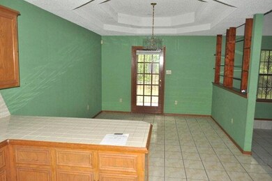 541 Tulip Cir, Alamo, TX 78516 - photo 5